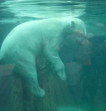 36694744_2126157650995510_2299753780675084288_n