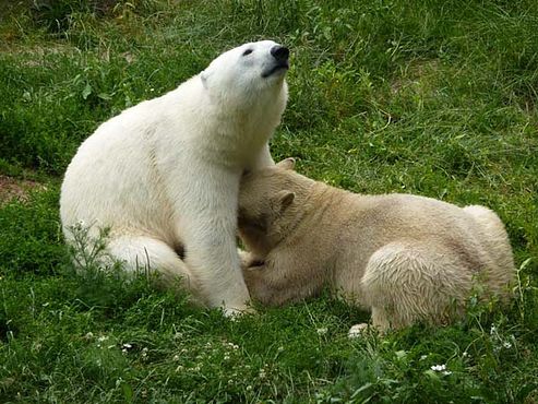 36696272_2126151337662808_1911744571138637824_n