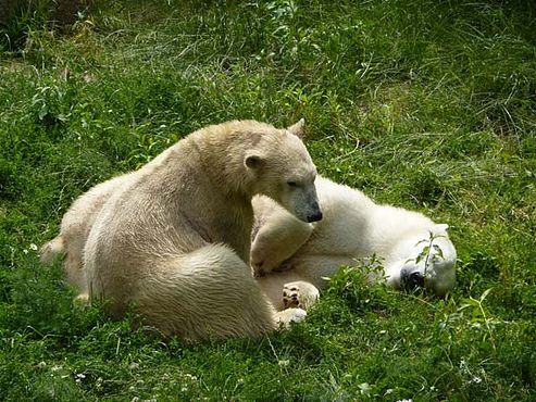 36697070_2126153190995956_8677456924456779776_n