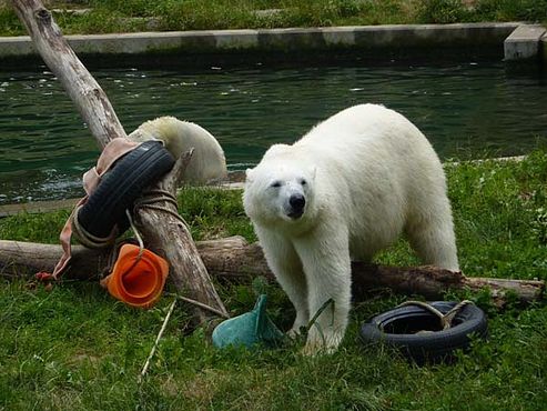 36700236_2126155094329099_3623199097684492288_n