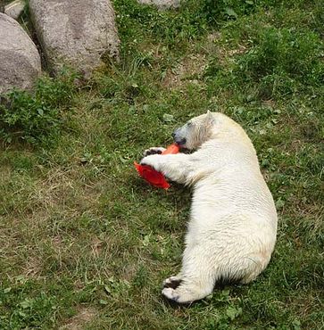 36701832_2126155147662427_3759710587328659456_n