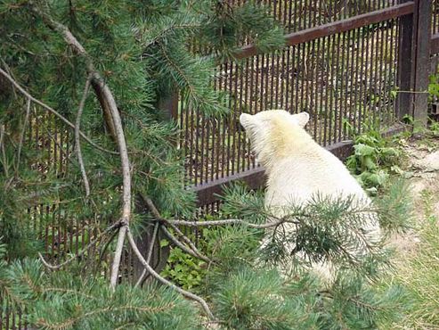 36701852_2126156570995618_7340573926088507392_n