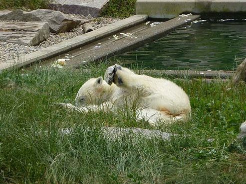 36708895_2126147957663146_9084502163488505856_n