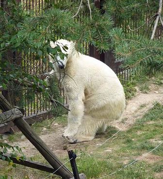 36710738_2126157697662172_2296660132911644672_n