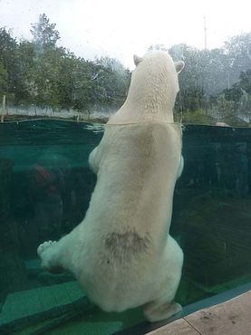 36722691_2126155650995710_5581630092179668992_n