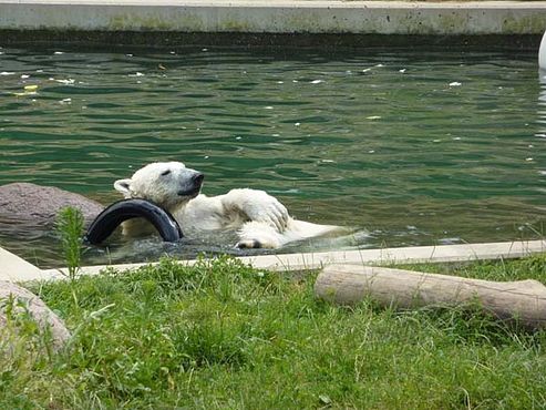 36737323_2126153160995959_7405645197473742848_n