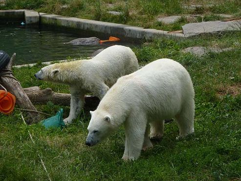 36743595_2126147884329820_7020047762397855744_n