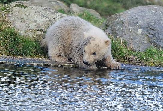 53847870_2513510492011718_156655951414296576_o