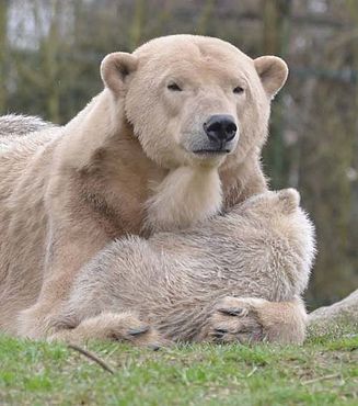 54080403_2522608567768577_2606562248319041536_n