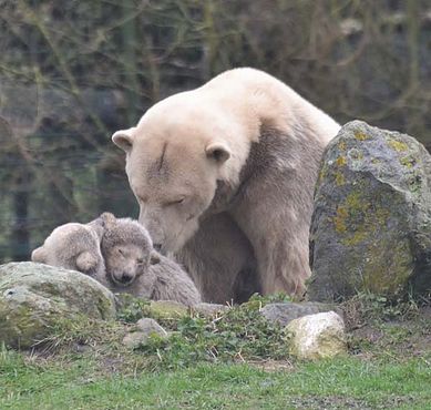 54277997_2515040051858762_3051243628635619328_n