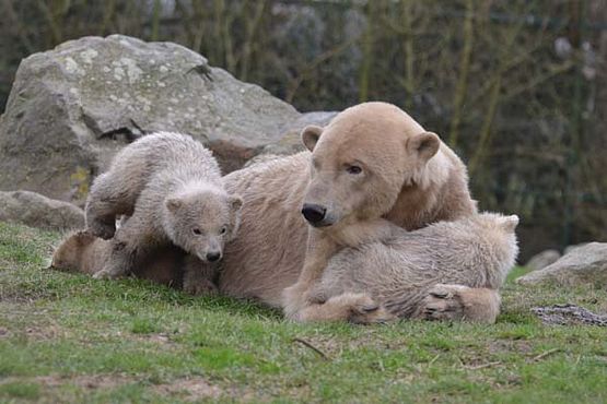 54437471_2524118707617563_2464441372472508416_o