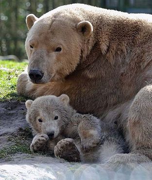 54516400_2519610768068357_2586119651394060288_n