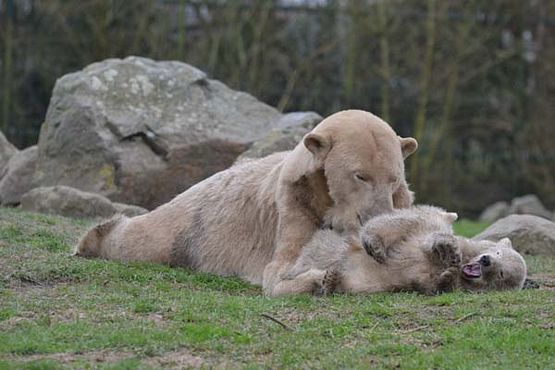 54523646_2525617627467671_5005849705645604864_o