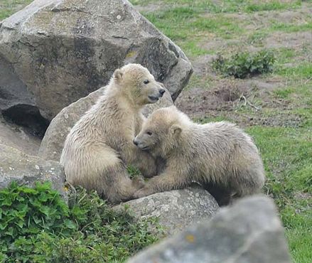 54798692_2522608001101967_9221079409081974784_n