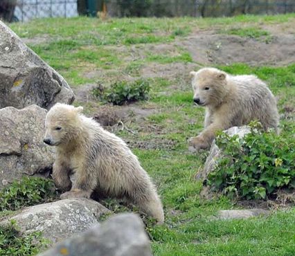 55549683_2527133557316078_6019982146695856128_n