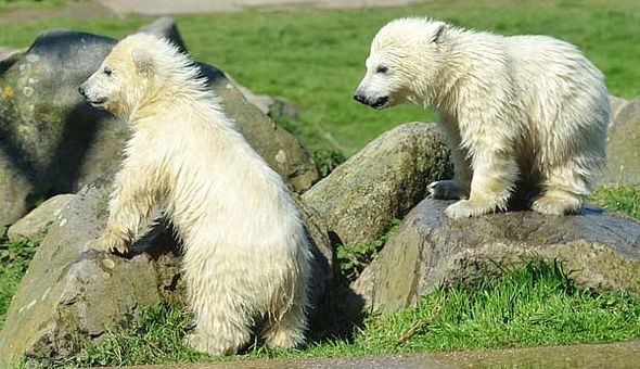 55576560_2537284279634339_2130834757032869888_o