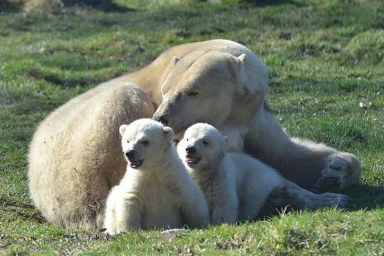 55653388_2073332089387048_2137827955928203264_n