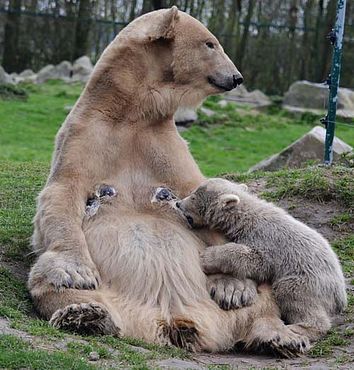 55711555_2533521346677299_442745745930452992_n