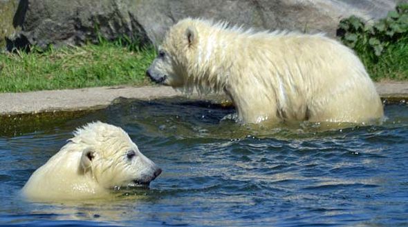 55726264_2539850489377718_3674621968025387008_o