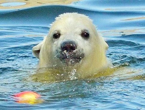 55744604_2537285112967589_5937991564612599808_n