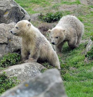 55816579_2524118384284262_7327797789952311296_n