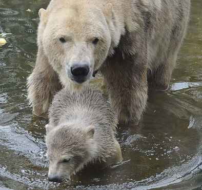 56229308_2543140645715369_9128110650071973888_n