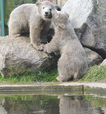 56312119_2549656515063782_7681357573613682688_n