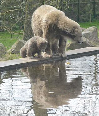 56412475_2549656568397110_6654505110174957568_n