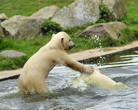 56443015_2541512482544852_6000285594180124672_n