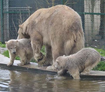 56462408_2546326862063414_1177120574418190336_n