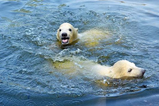 56504194_2554611531234947_2144061392288743424_o