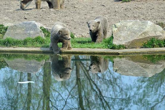 56505498_2554610561235044_269712319712329728_o