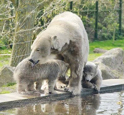 56510900_2549656661730434_6931801122361311232_n