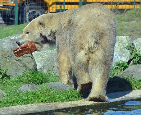 56521020_2539849099377857_8991362280096530432_n