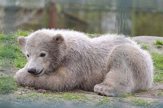 56589682_2544733968889370_7896834004089831424_o