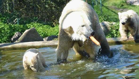 56632028_2557755527587214_4486264207355936768_o