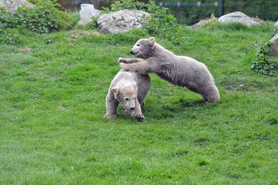 56711066_2559448797417887_2947833881438453760_o