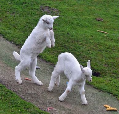 56744608_2544732858889481_5000584200294760448_n