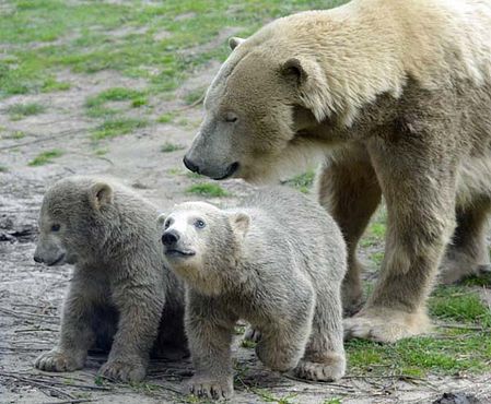 56931909_2561016667261100_4407461650647482368_n