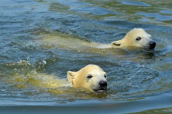 57244645_2554611431234957_678038399596101632_o