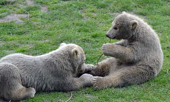 57504429_2564194293610004_8417161101497597952_o