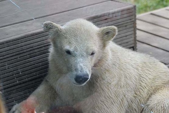 67278890_2738319482864150_2545729525539405824_o