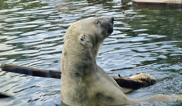 68650230_2789891984373566_5688174534142722048_o