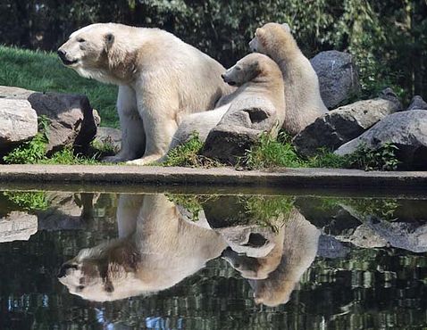 69254005_2782371188458979_852231037487415296_n