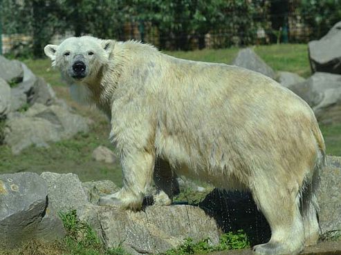 69338778_2818204584875639_1575943970440085504_o