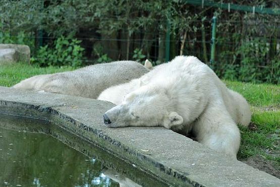 69500441_2820071141355650_7785995659982667776_o