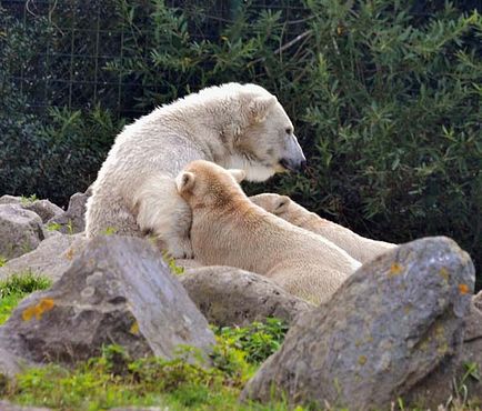 70254188_2833596803336417_9114696749947027456_n