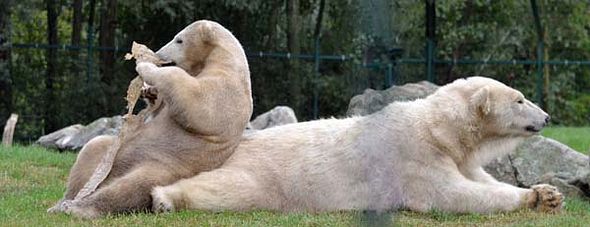 70493550_2835415669821197_8582351874483552256_o