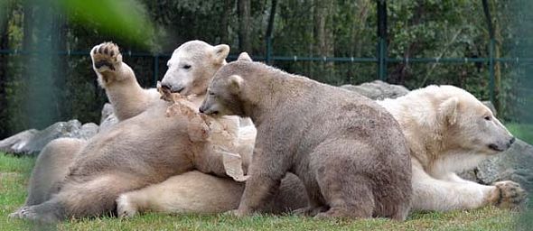 70600078_2835415733154524_1914179383803772928_o