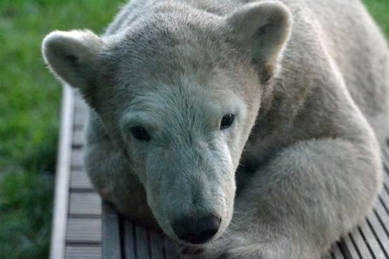 70785991_2837304149632349_8567286026857349120_o